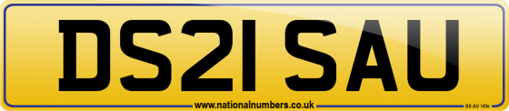 DS21 SAU