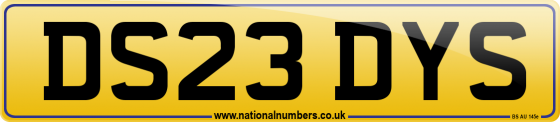 DS23 DYS