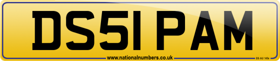 DS51 PAM