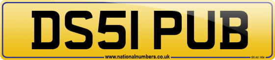 DS51 PUB