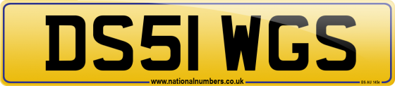 DS51 WGS