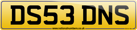 DS53 DNS