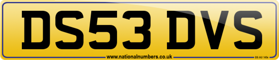 DS53 DVS