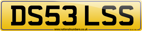 DS53 LSS