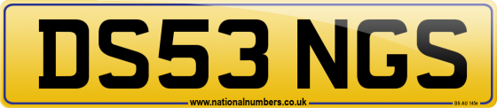 DS53 NGS