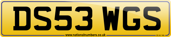 DS53 WGS