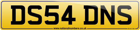DS54 DNS