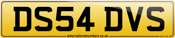 DS54 DVS