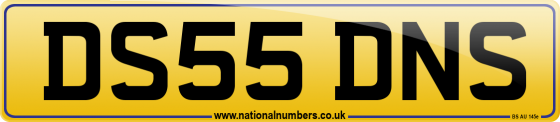 DS55 DNS