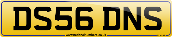 DS56 DNS