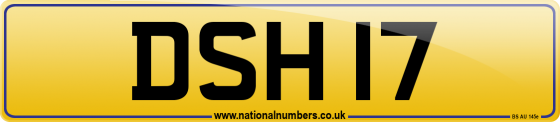 DSH 17