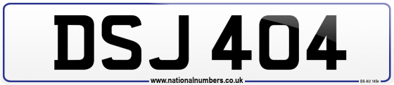 DSJ 404