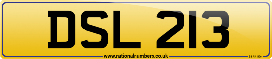 DSL 213