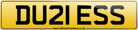 DU21 ESS