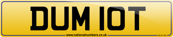 DUM 10T