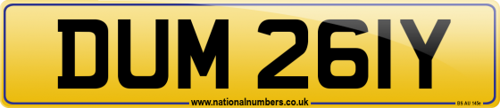 DUM 261Y