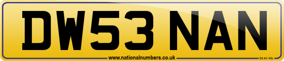 DW53 NAN