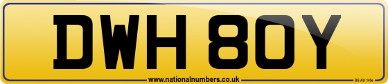 DWH 80Y