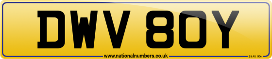 DWV 80Y