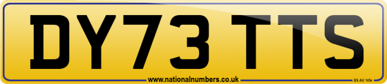 DY73 TTS