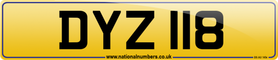 DYZ 118