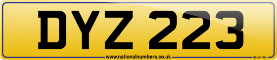 DYZ 223