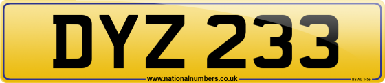DYZ 233