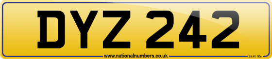 DYZ 242