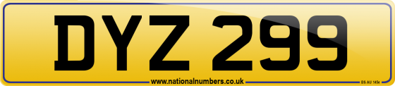 DYZ 299