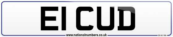 E1 CUD