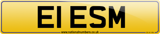 E1 ESM