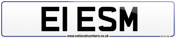 E1 ESM