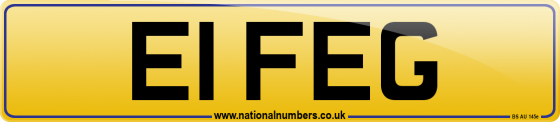 E1 FEG