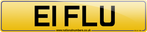 E1 FLU