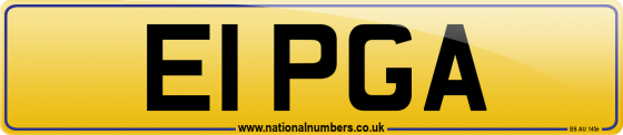 E1 PGA