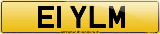 E1 YLM
