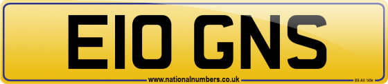 E10 GNS