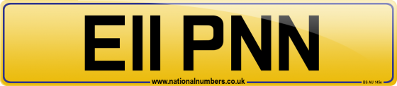 E11 PNN