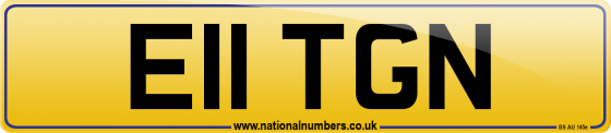 E11 TGN