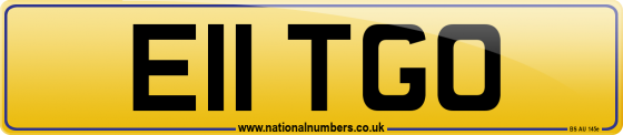 E11 TGO