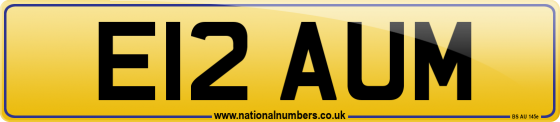 E12 AUM