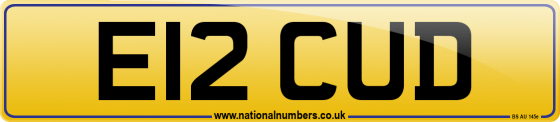 E12 CUD
