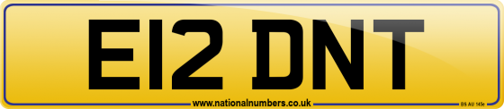 E12 DNT
