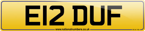E12 DUF