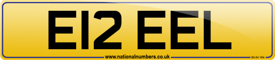 E12 EEL