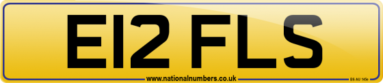 E12 FLS