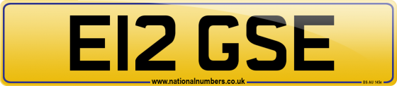 E12 GSE