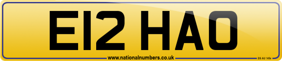E12 HAO