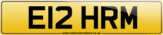 E12 HRM