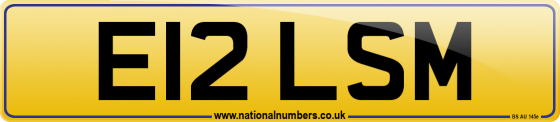 E12 LSM